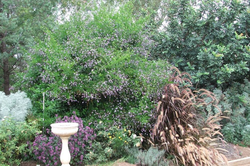 Photo of Outdoor in Dubbo