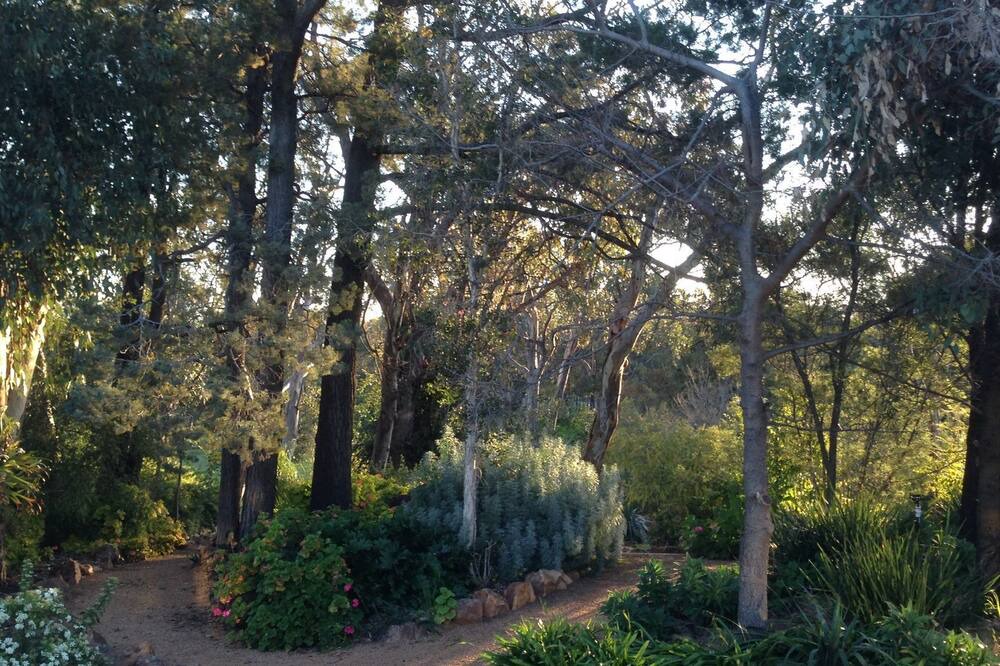 Photo of Outdoor in Dubbo