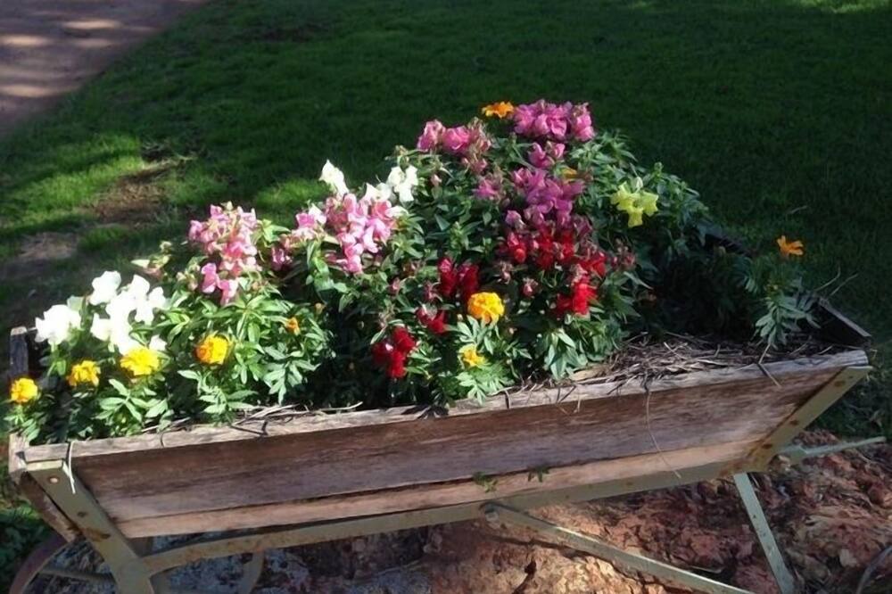 Photo of Outdoor in Dubbo