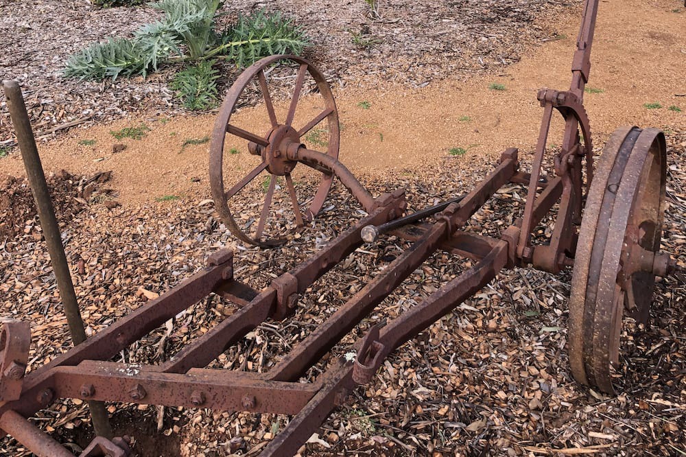 Photo of Outdoor in Dubbo