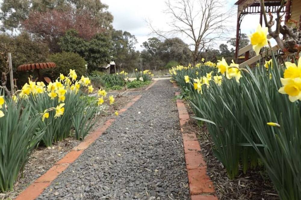 Photo of Outdoor in Harcourt