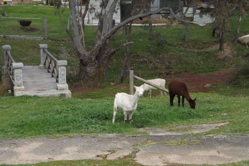Photo of Outdoor in Harcourt