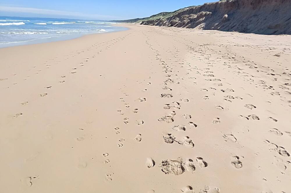 Photo of Others in Venus Bay