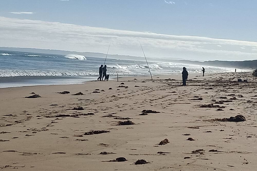 Photo of Others in Venus Bay