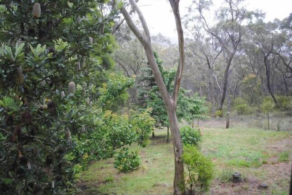 Photo of Outdoor in Blackheath