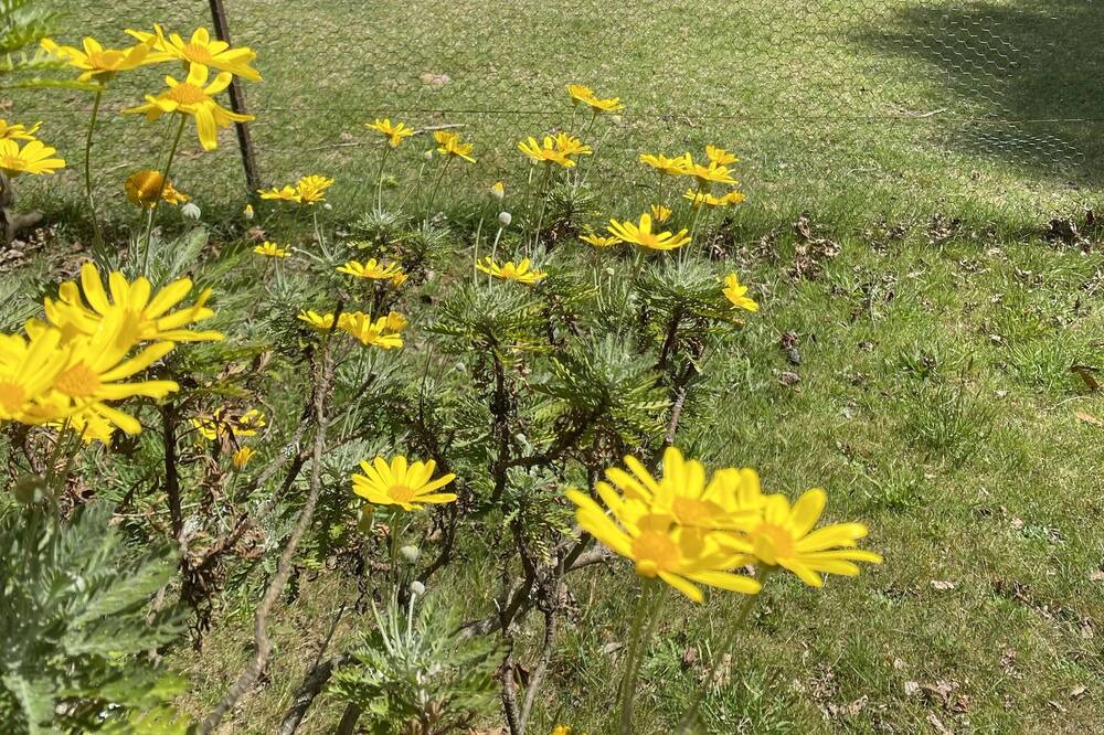 Photo of Outdoor in Blackheath