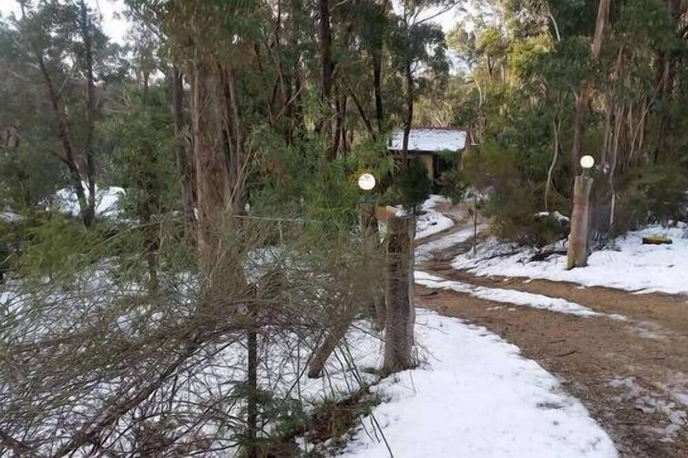 Photo of Outdoor in Blackheath