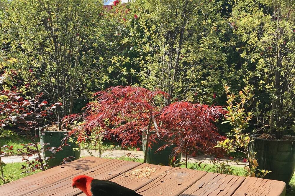 Photo of Patio Balcony in Katoomba