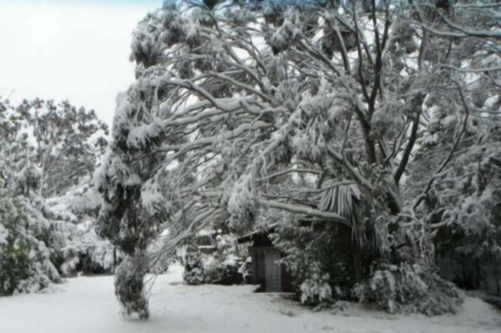Photo of Outdoor in Katoomba
