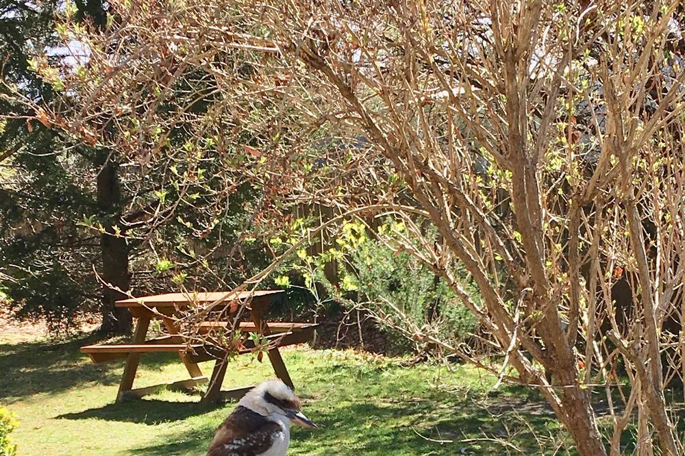 Photo of Outdoor in Katoomba