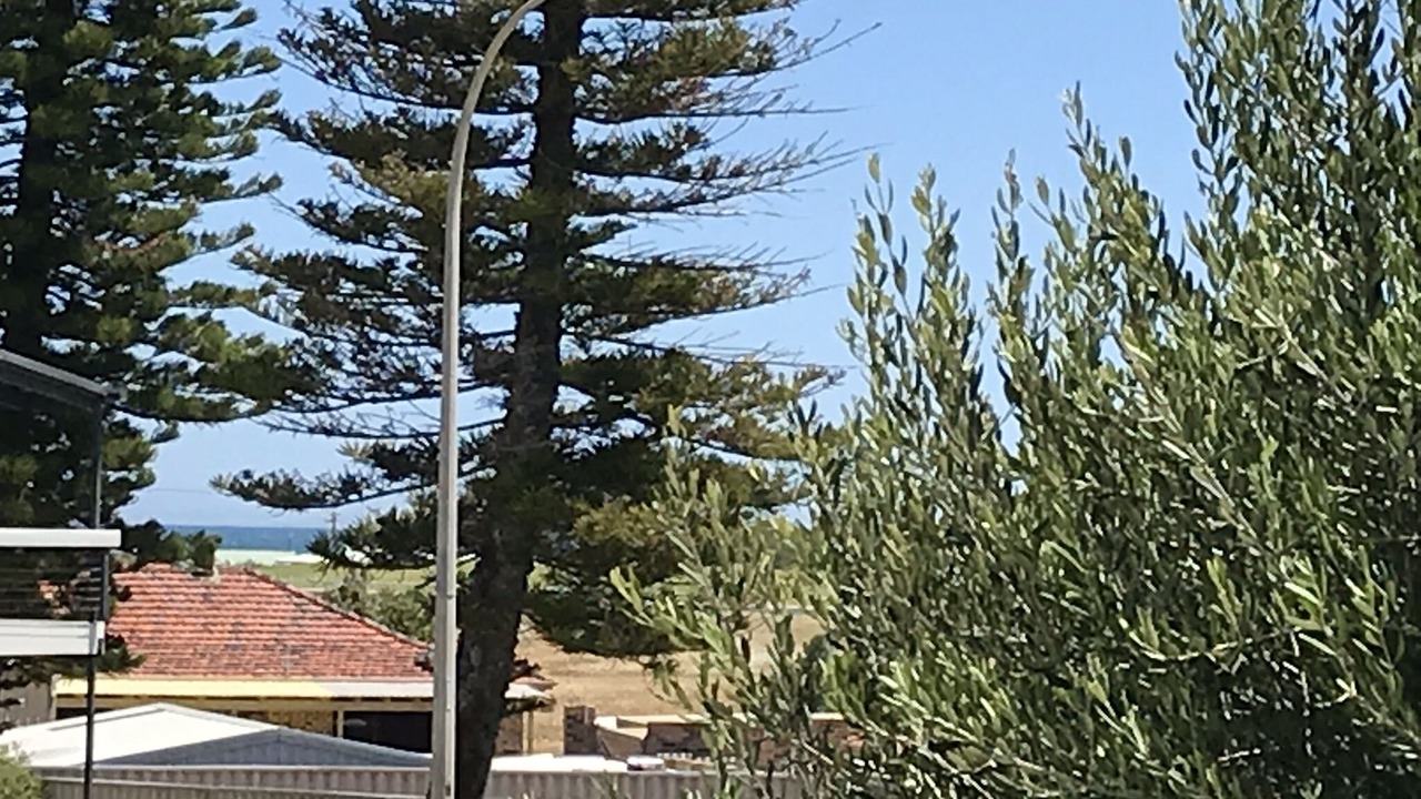 Photo of Outdoor in Ledge Point