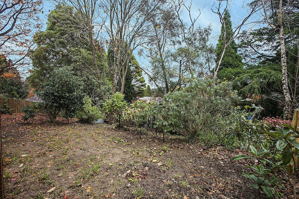Photo of Outdoor in Katoomba
