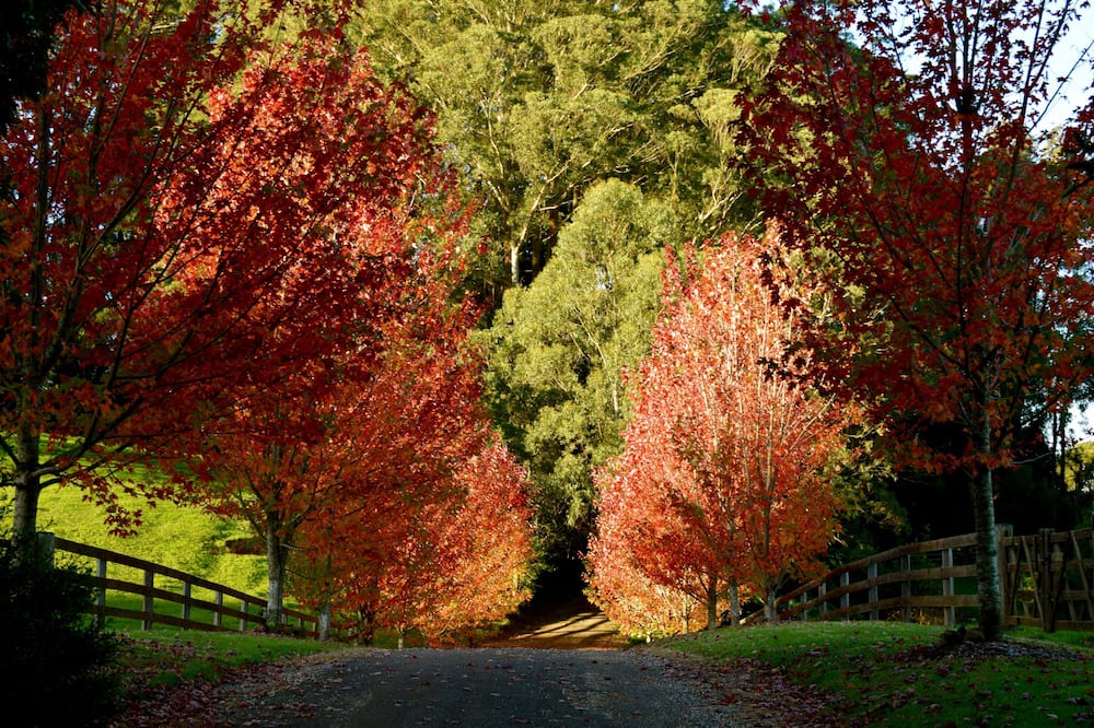 Photo of Outdoor in Wildes Meadow