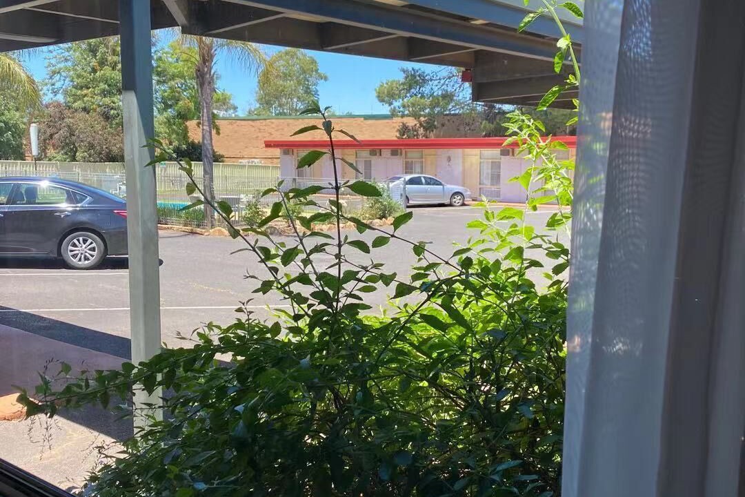 Photo of Outdoor in Parkes