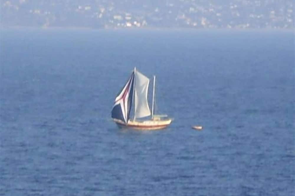 Photo of Others in South Arm