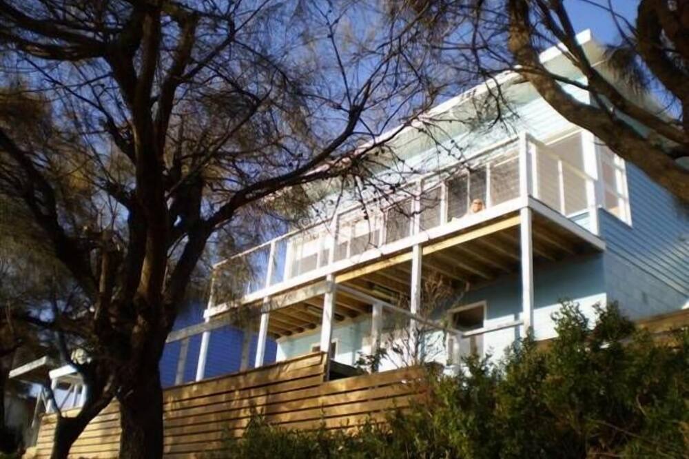 Photo of Outdoor in South Arm