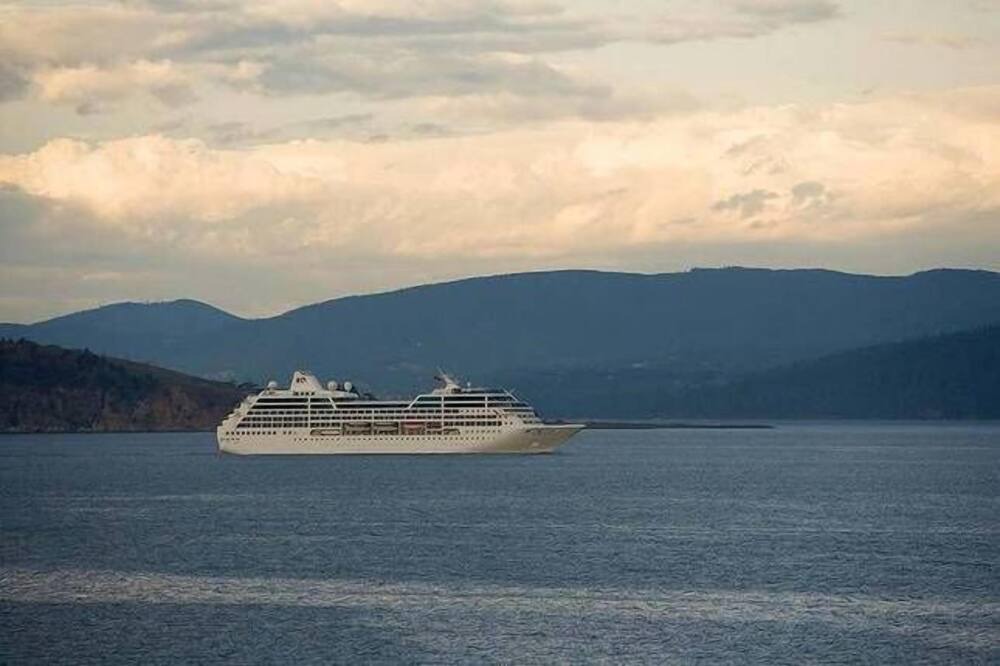 Photo of Others in South Arm