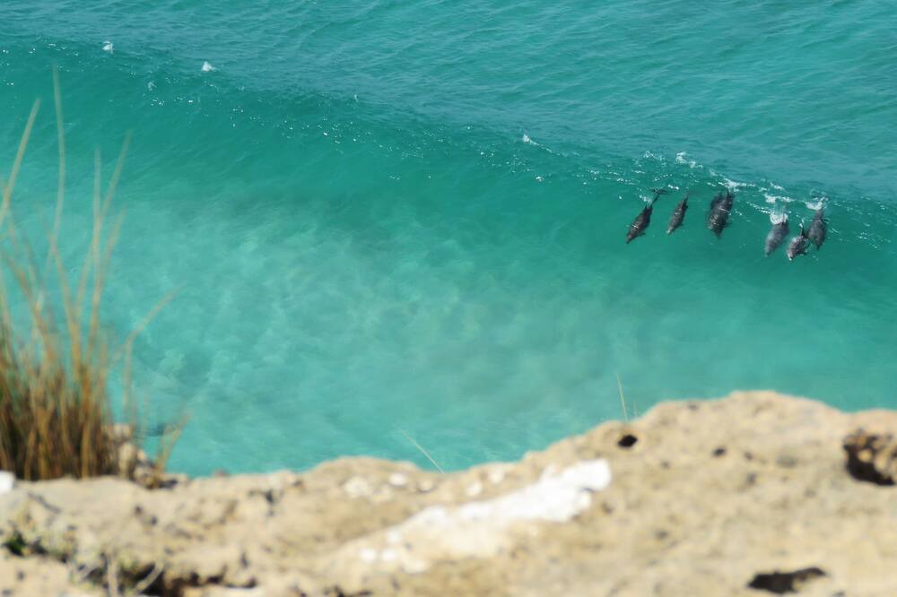 Photo of Others in Marion Bay
