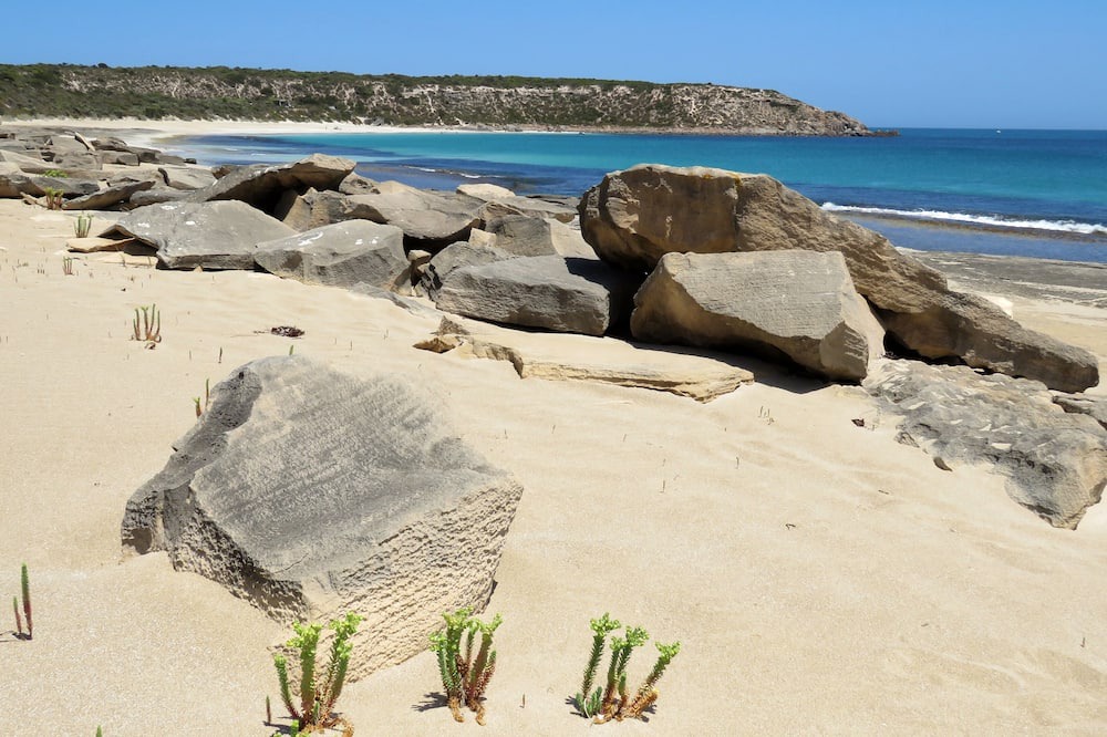 Photo of Others in Marion Bay