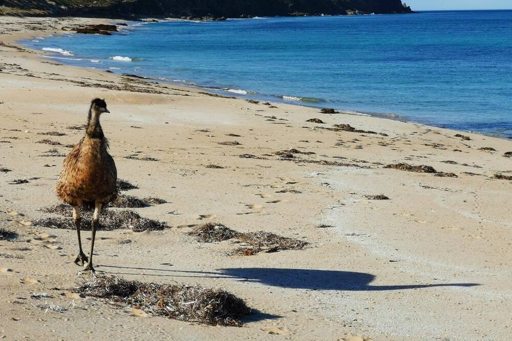 Photo of Others in Marion Bay