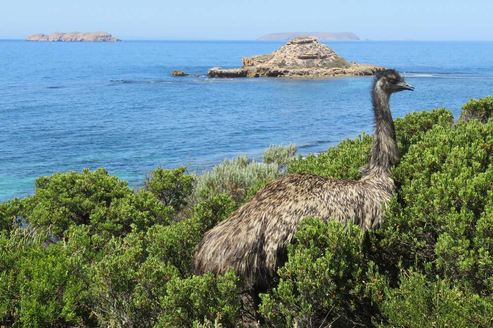 Photo of Others in Marion Bay
