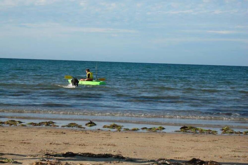 Photo of Others in Greens Beach