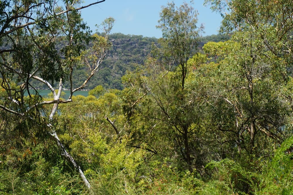 Photo of Outdoor in Dangar Island