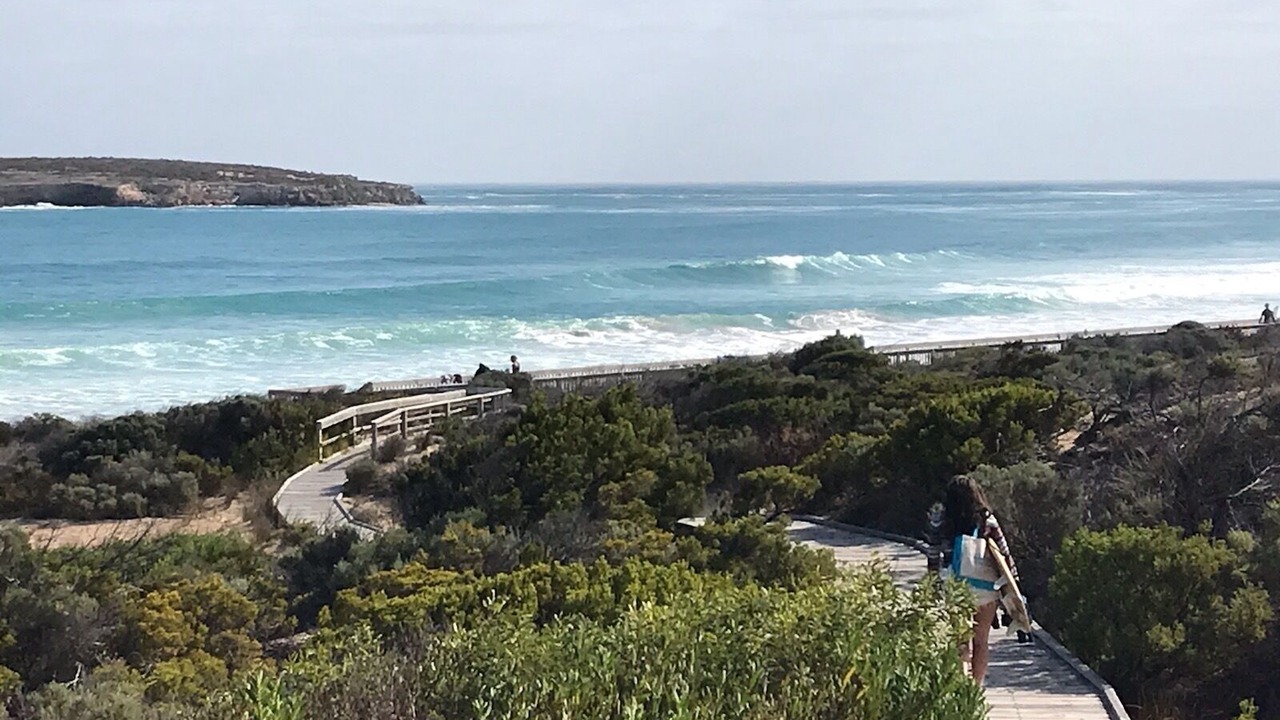 Photo of Others in Marion Bay