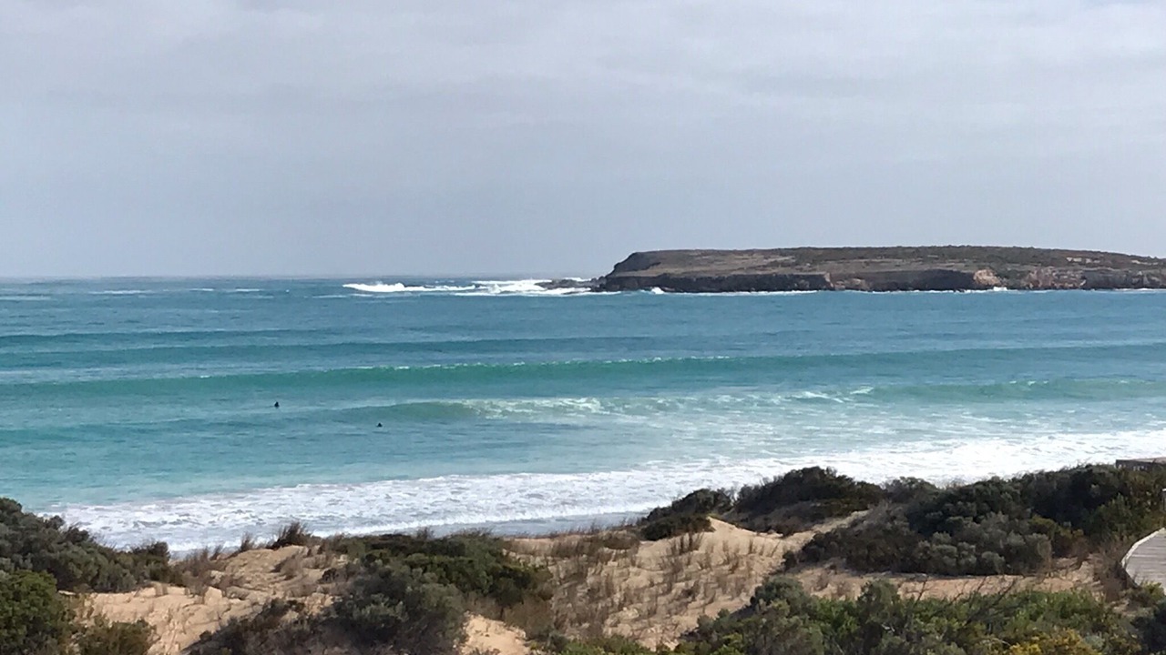 Photo of Others in Marion Bay