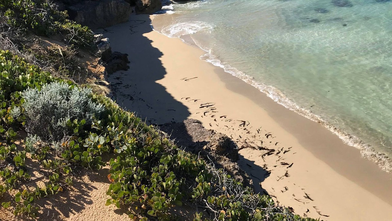 Photo of Others in Marion Bay