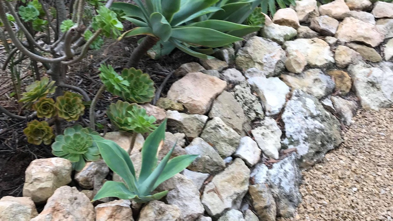 Photo of Outdoor in Marion Bay