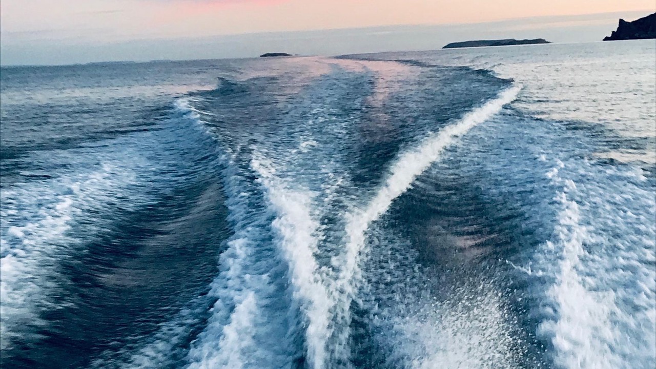 Photo of Others in Marion Bay