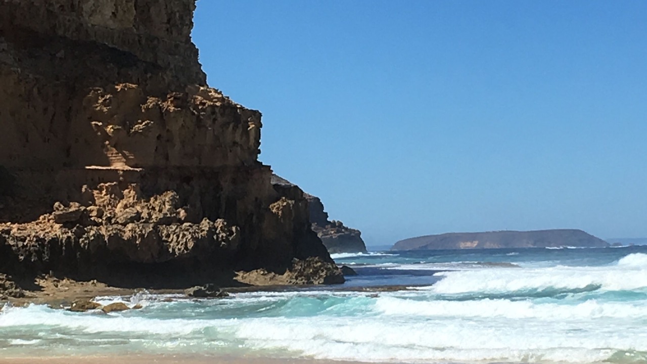 Photo of Others in Marion Bay