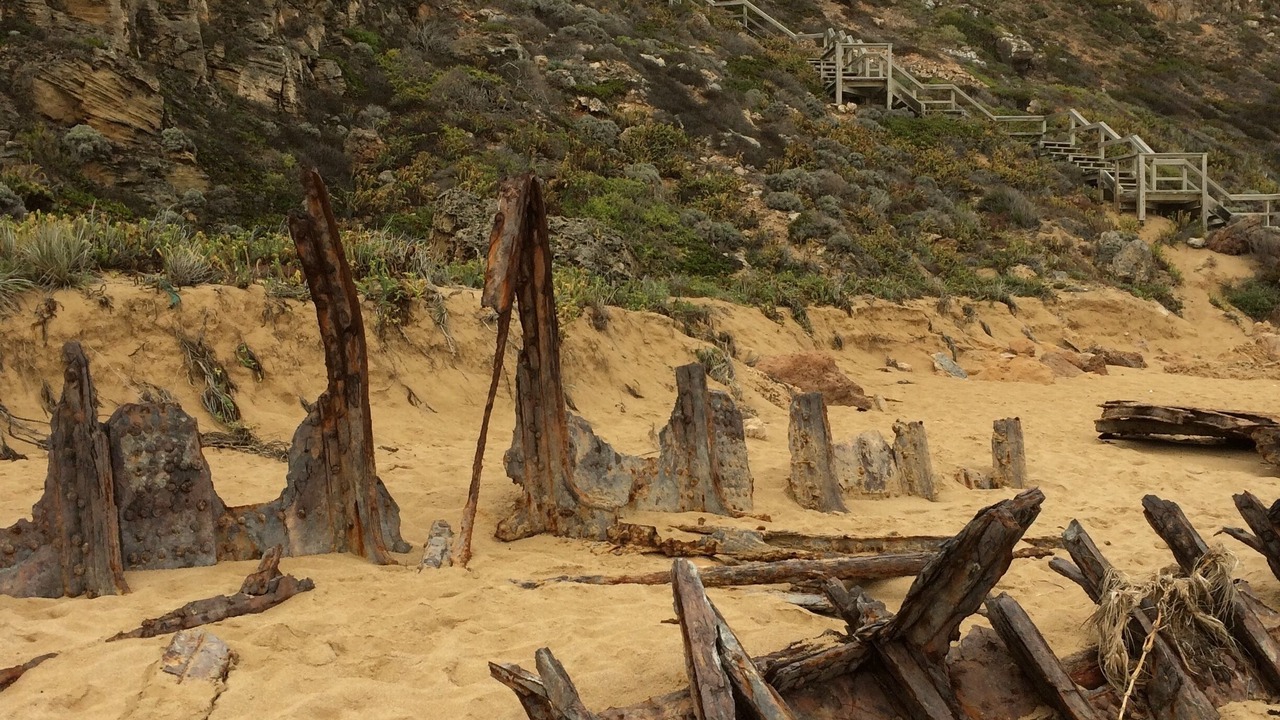 Photo of Others in Marion Bay