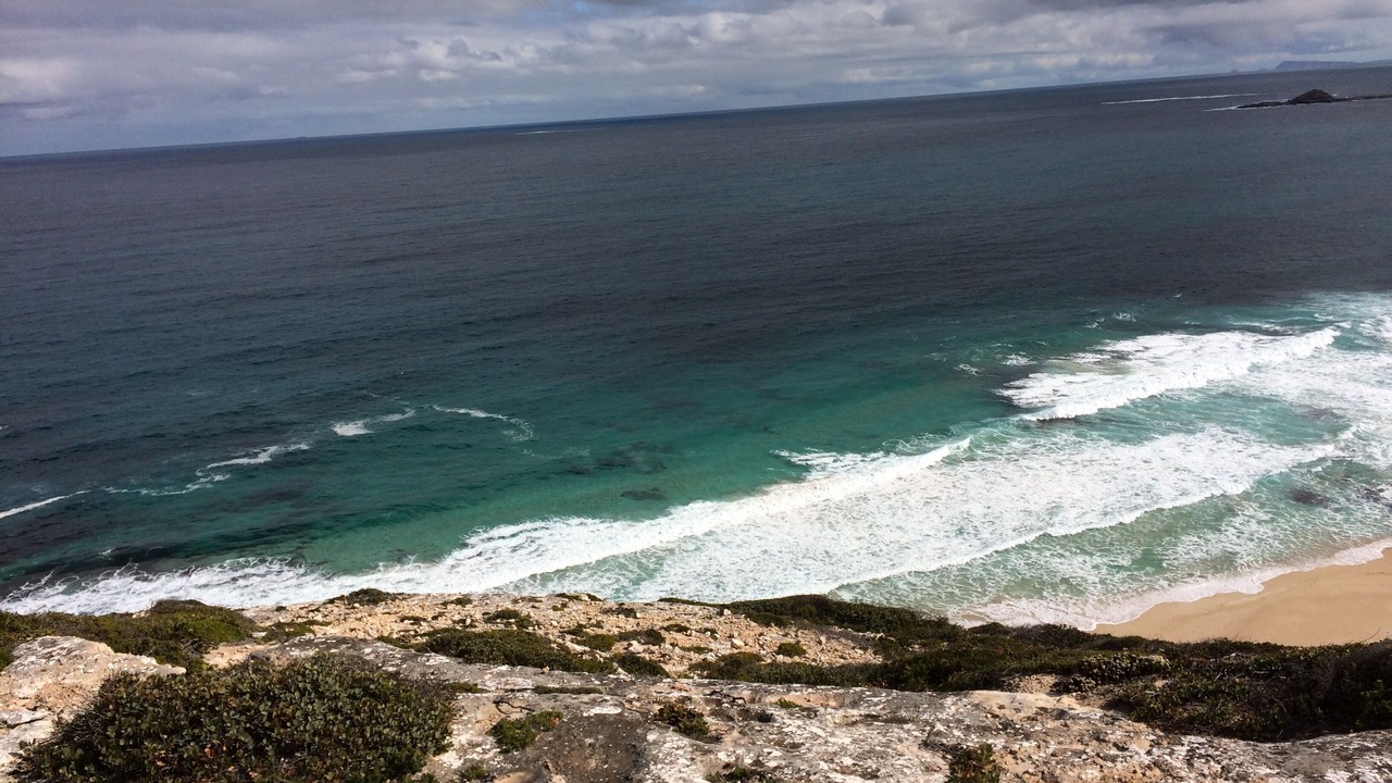 Photo of Others in Marion Bay