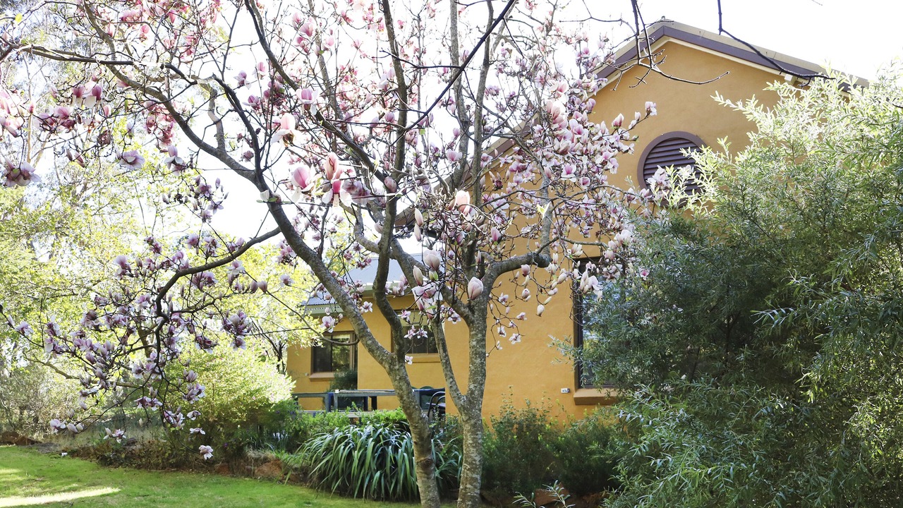 Photo of Outdoor in Wentworth Falls