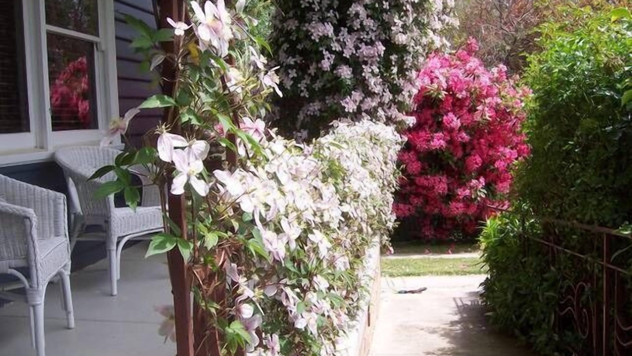 Photo of Outdoor in Daylesford