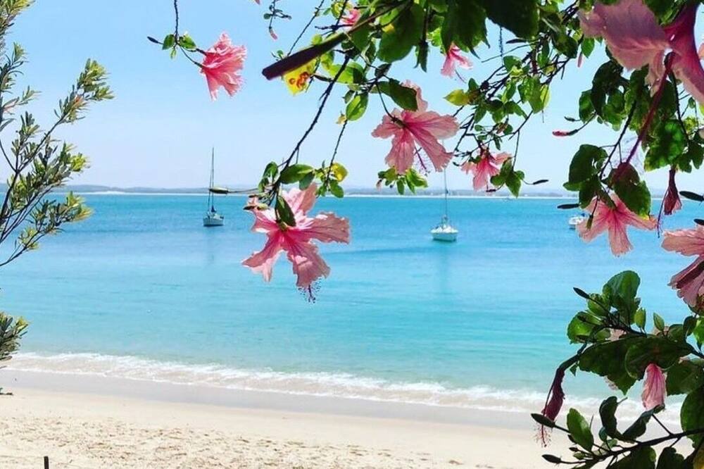 Photo of Others in Shoal Bay