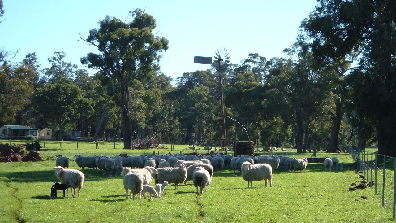 Photo of Others in Cundinup