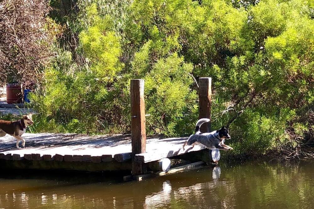 Photo of Others in Pink Lake