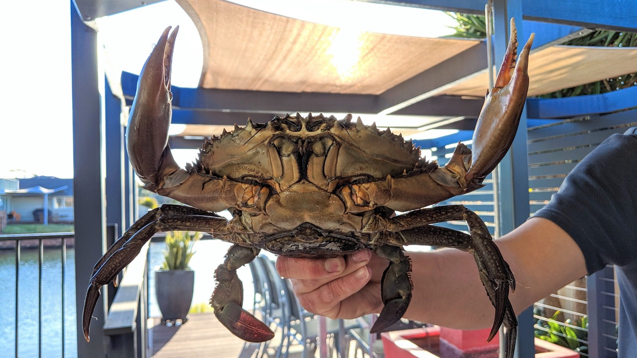 Photo of Outdoor in Forster