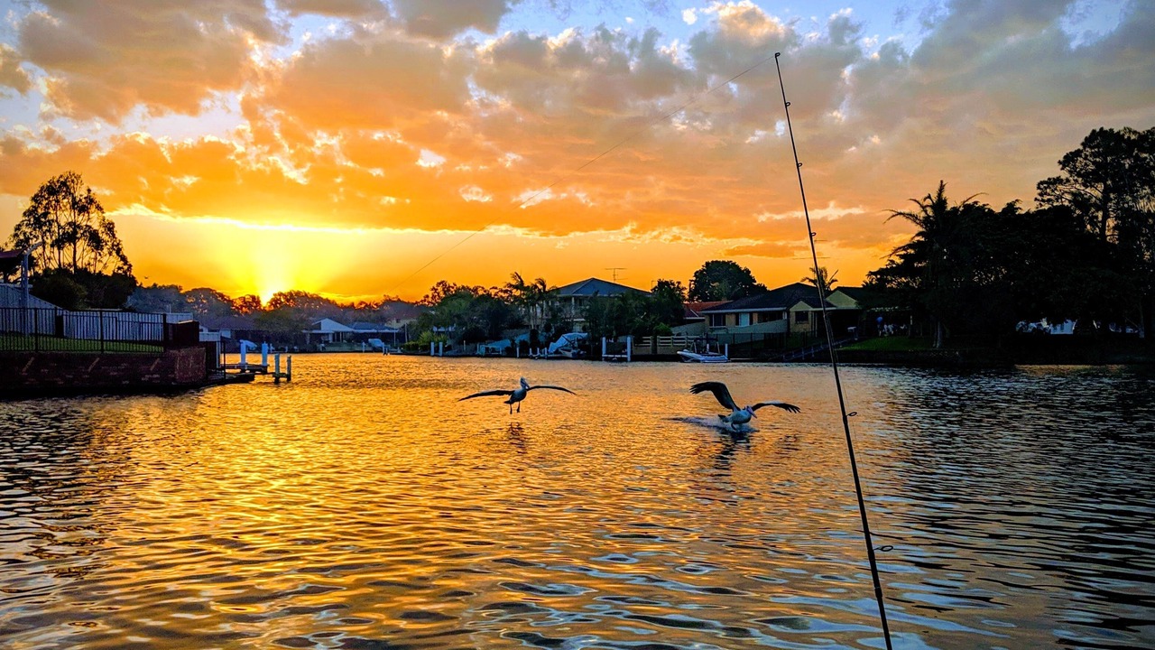 Photo of Outdoor in Forster