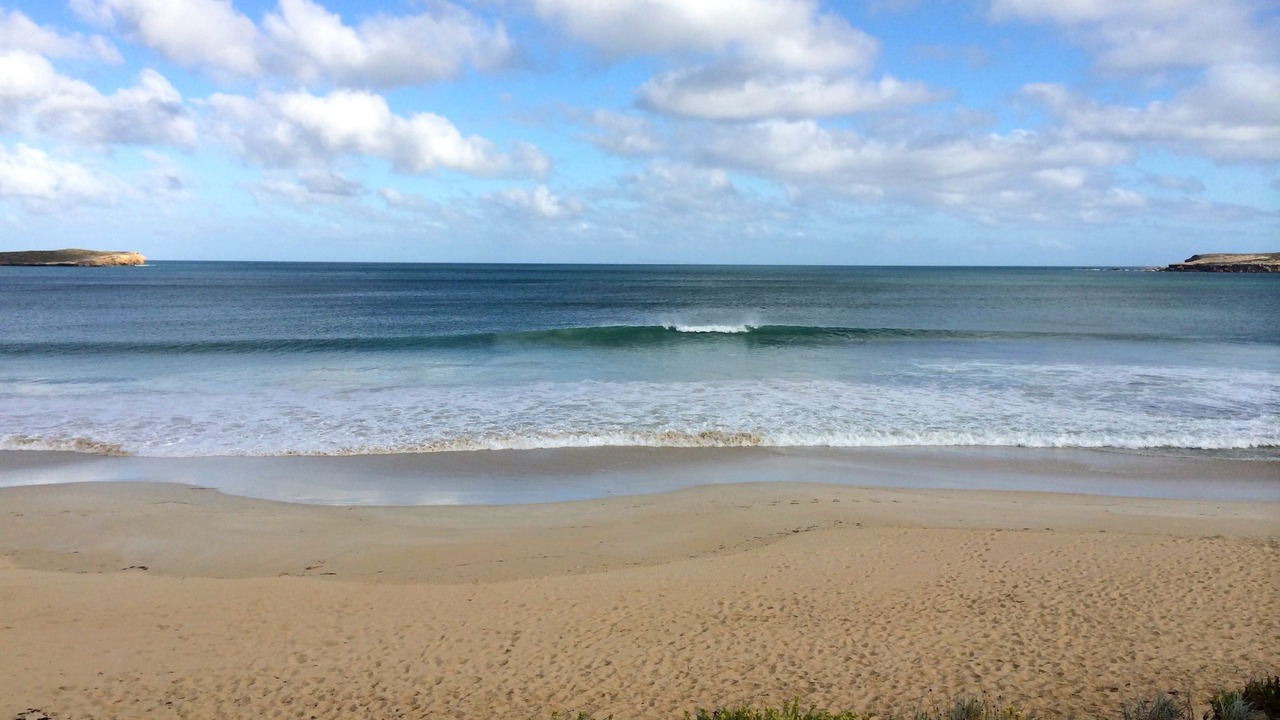Photo of Others in Marion Bay