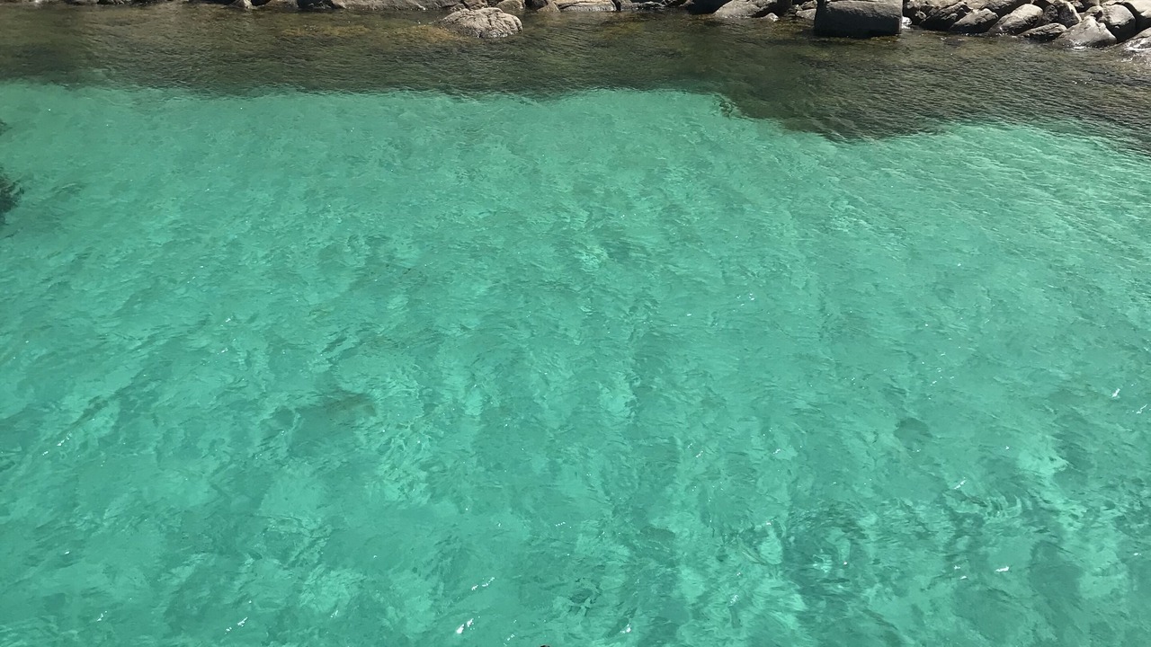 Photo of Others in Marion Bay