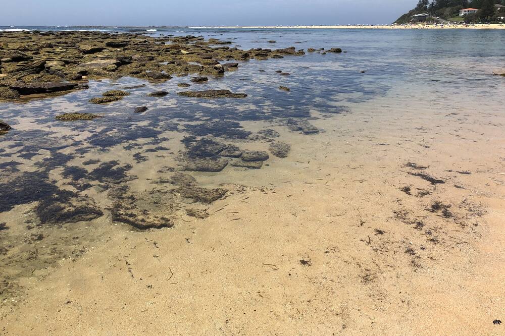 Photo of Others in Blue Bay