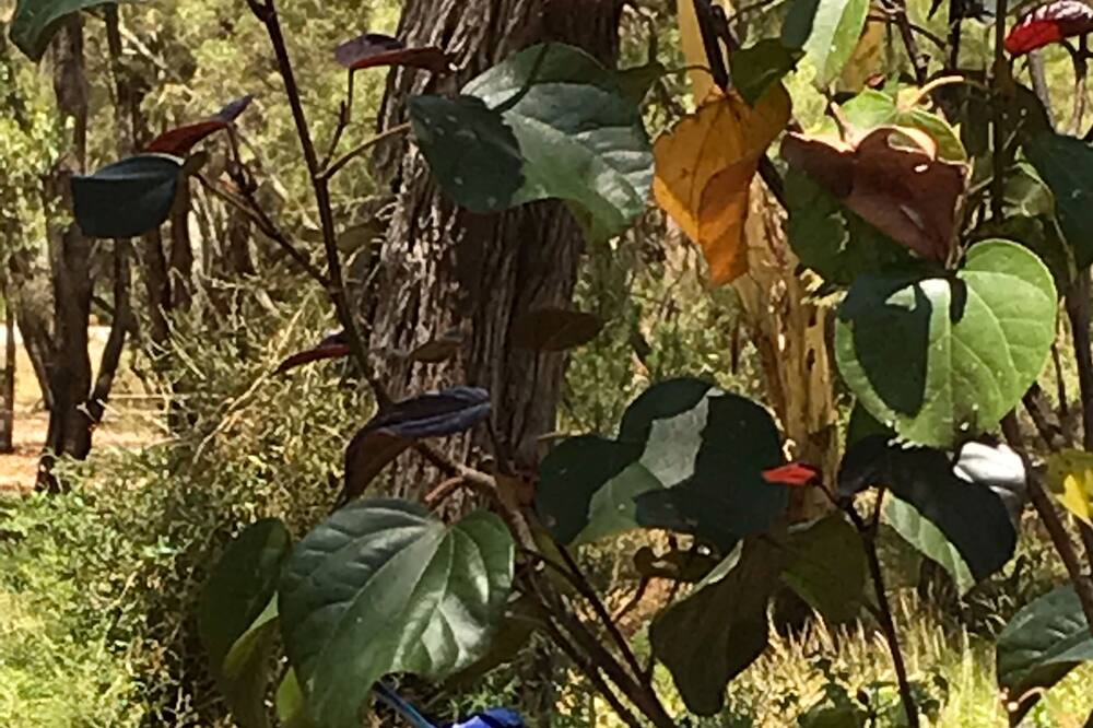 Photo of Outdoor in Robinson
