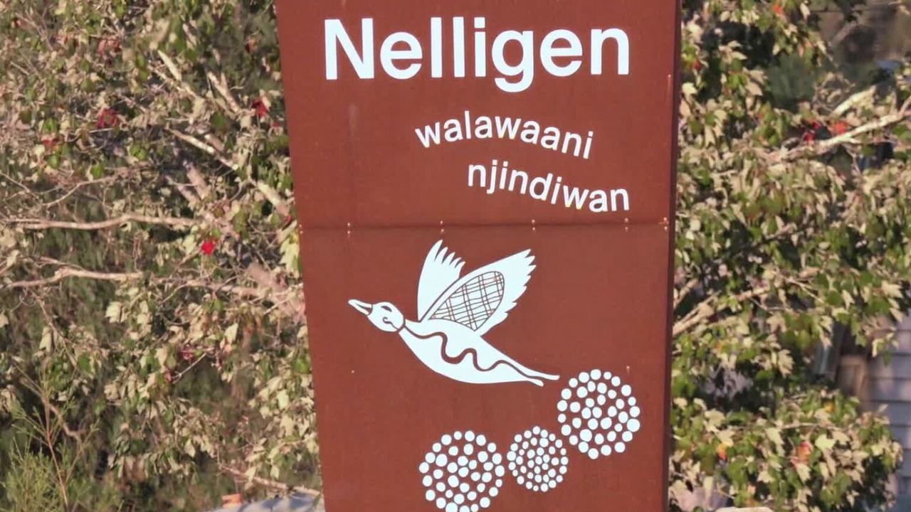 Photo of Others in Nelligen