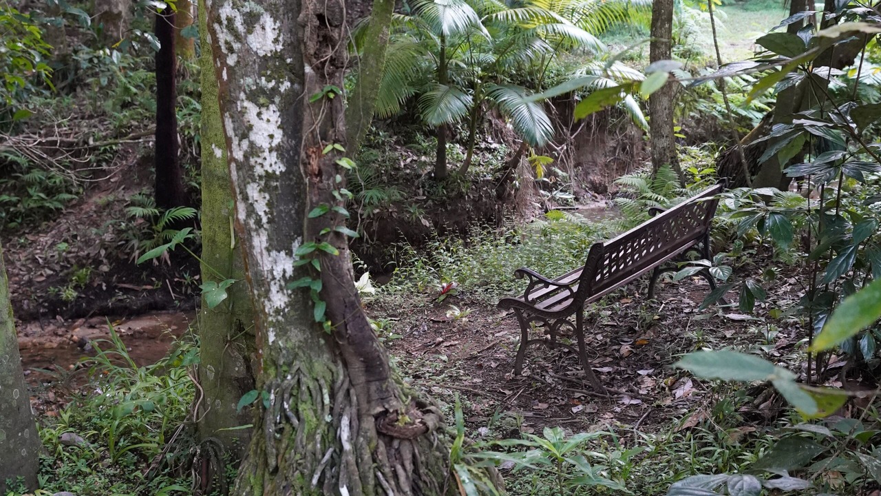 Photo of Outdoor in Finch Hatton