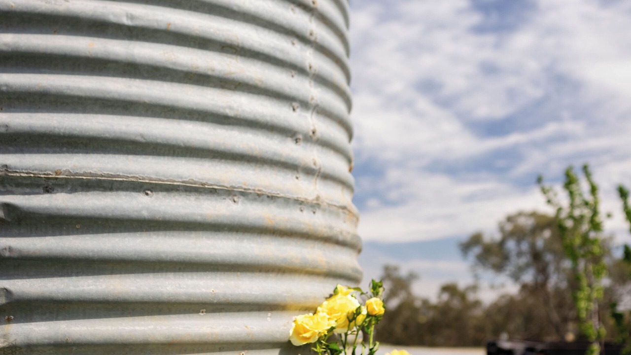 Photo of Outdoor in Marrar