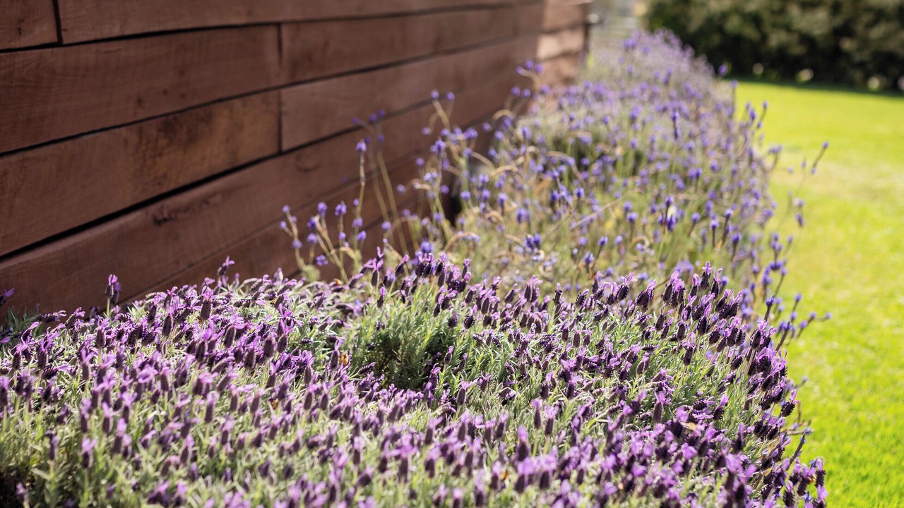 Photo of Outdoor in Marrar